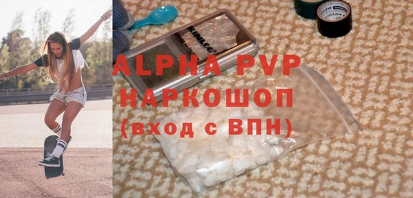 индика Бородино